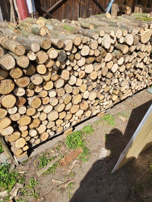 Drewno drzewo opałowe kominkowe