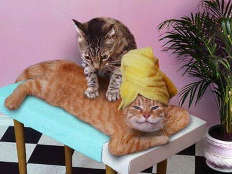 Реабілітаційний масаж. Дитячий масаж. ДЦП. Протрузіїї, грижі, остеохон