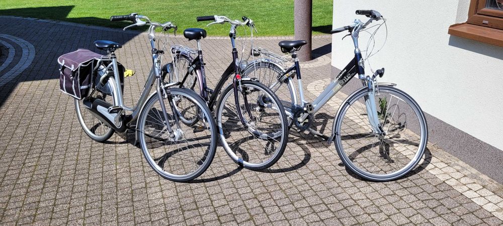 Rower damski Gazella