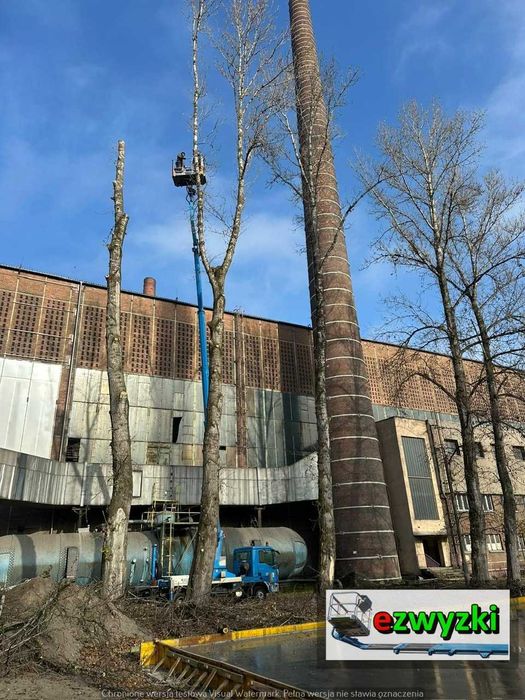 Przycinka drzew, Wycinka drzew, Rębak, Podnośniki koszowe