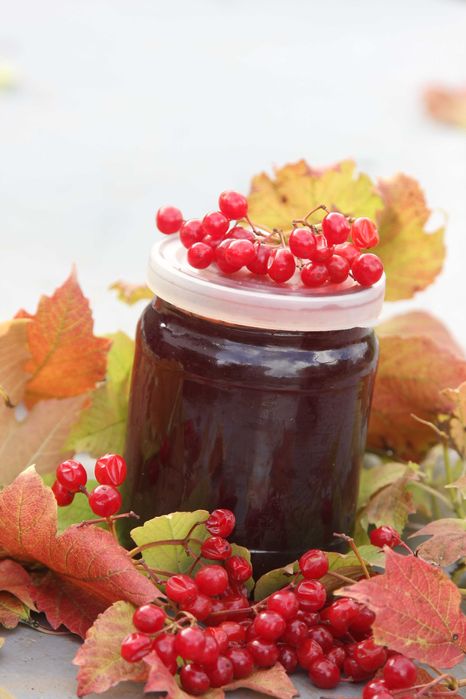 Сік калини.Калина з цукром.Джем.