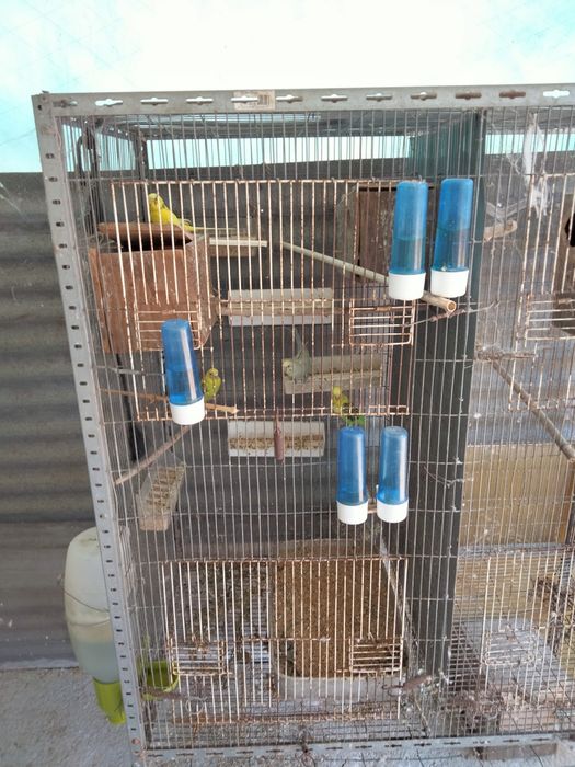 Gaiola/ Viveiro para aves