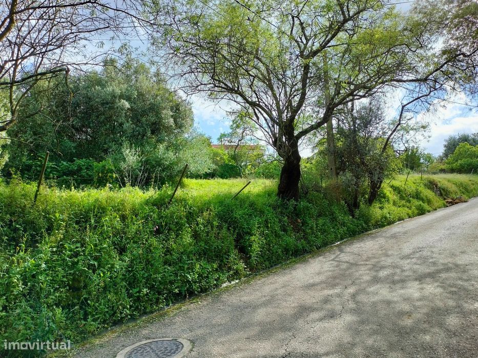 Terreno para Construção em Centro da Aldeia