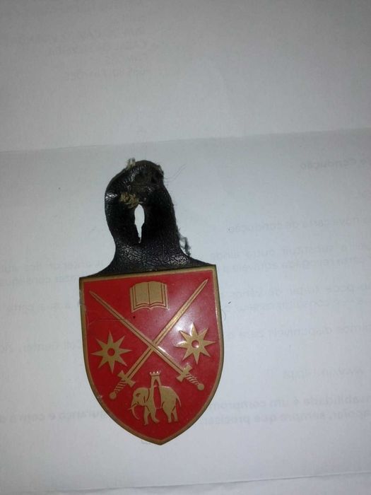 Crachás militares de cavalaria originais antigos