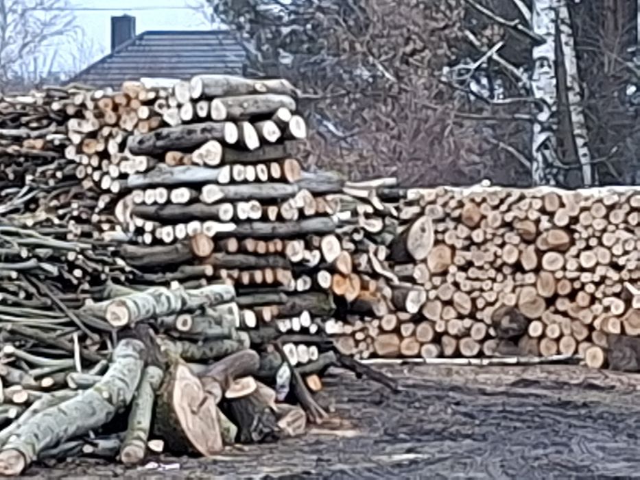 Opał drewna  opałowego kominkowe