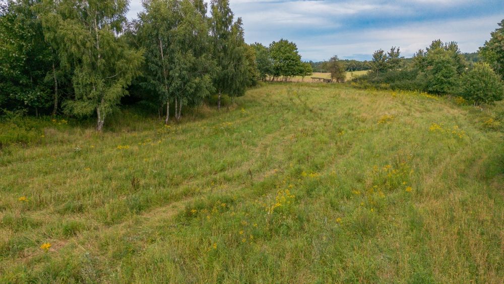 Działka rolna 1 H. Łęcze wysoczyzna elbląska - Widok 3