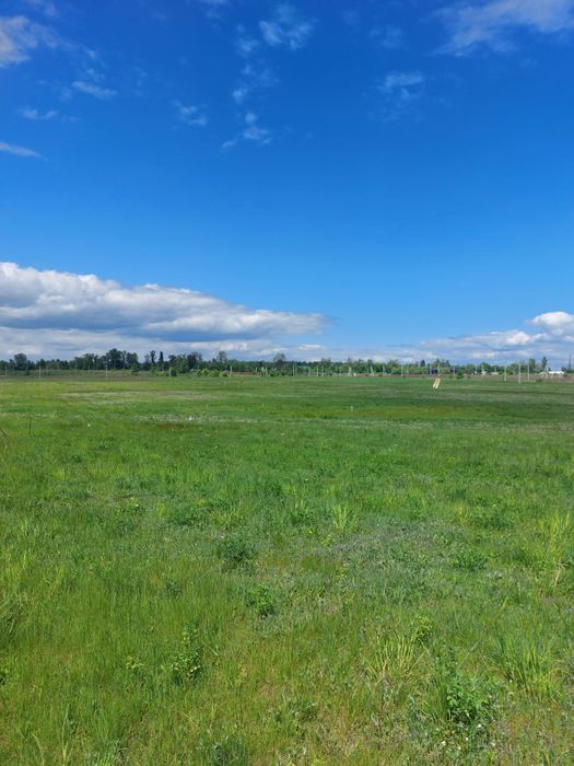 Продаж земельних ділянок в Нових Петрівцях.  Вишгородський р-н. - Bilde 2