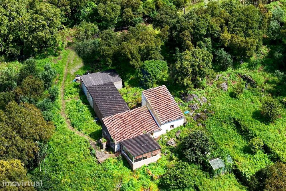 Quintinha T2  com Vista Panorâmica e Deslumbrante  para a serra em Mon