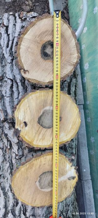 Слеб Сруб Срез Дерева горіх