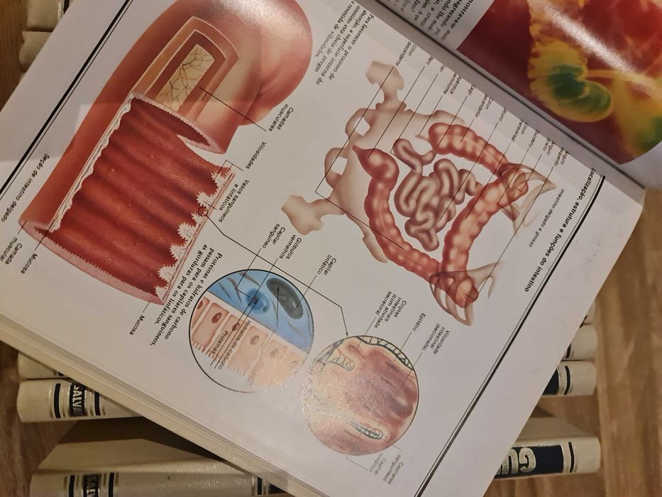 Enciclopédia de 12 volumes Guia Médico Salvat.