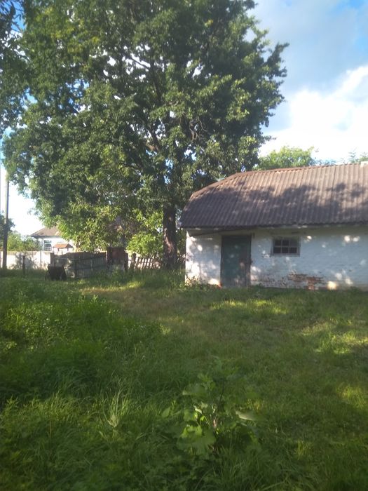 Продам будинок в селі Клепачі Полтавської обл Лубенського району