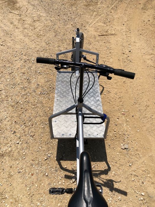 Bicicleta de carga
