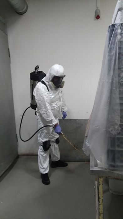 Controlo de Pragas e Desinfestações 24/7