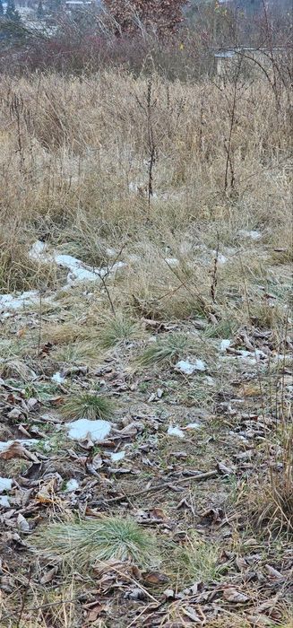 продам землю на обьездній Херсону в районі Зеленівки 0,8 га, під ОСГ