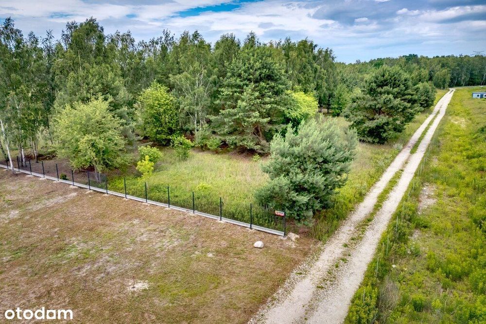 Działka 3000 m² z potencjałem inwestycyjnym – Bory