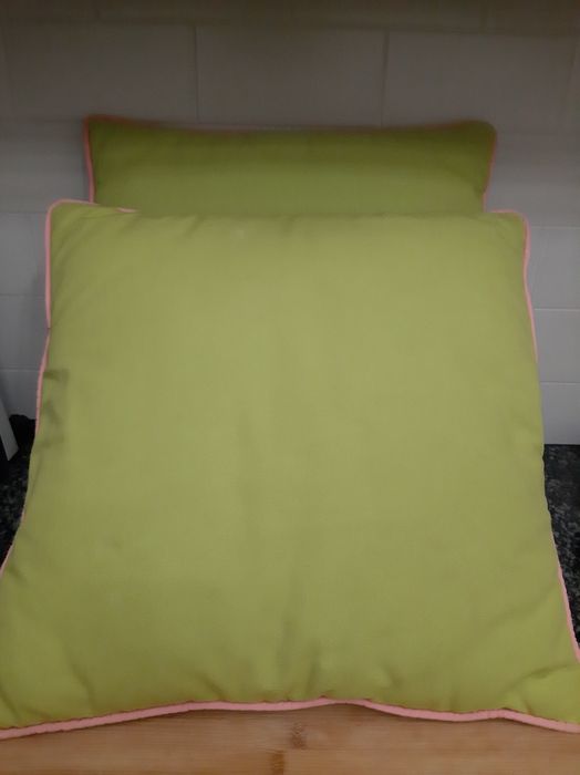 Conjunto de 2 almofadas