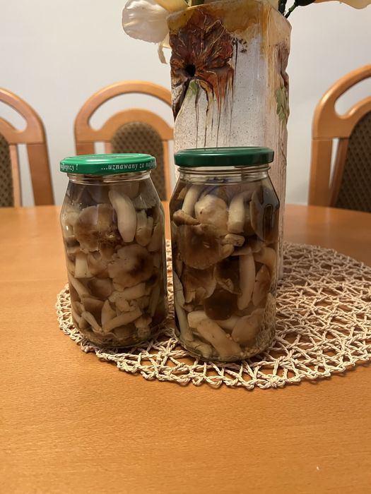 Grzyby marynowane gąska podzielonka