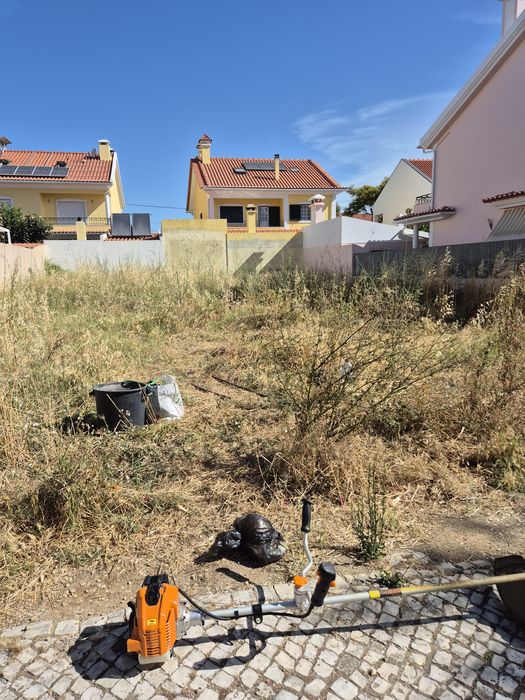 Manutenção de jardins na zona cascais/estoril/oeiras