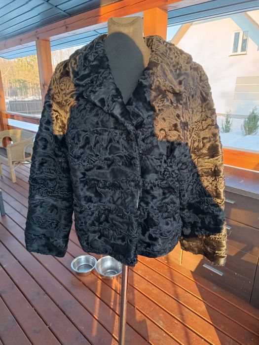 Krótka kurteczka z karakułów