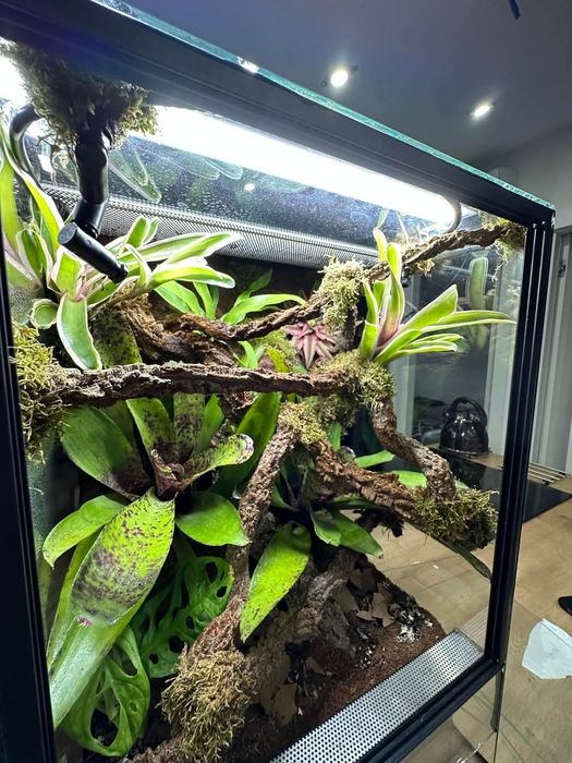 Renowacja/budowa terrarium