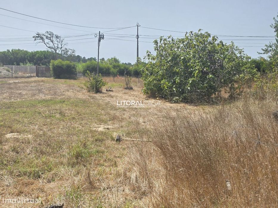 Quinta na Costa Vicentina com 37.348 m²