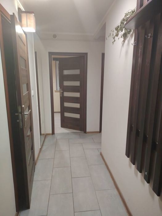 Wynajmę mieszkanie bezczynszowe