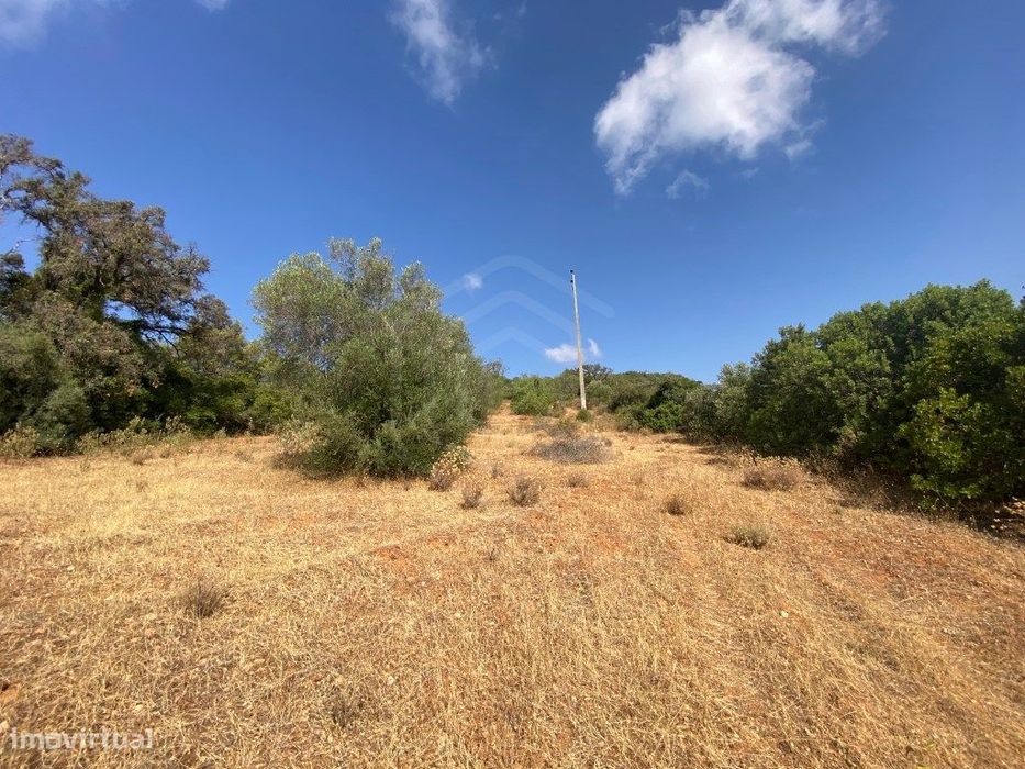 Lote de Terreno Rústico no Serro dos Passarinhos, Loulé, Algarve