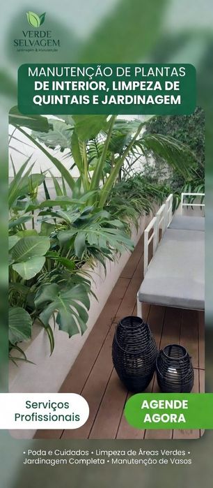 Manutenção de plantas interior Lisboa