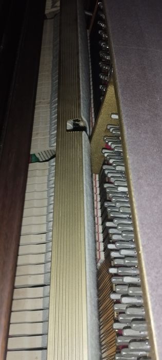 Piano Weinbach Oferta transporte e afinação