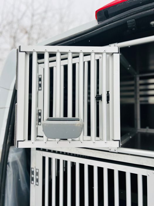 Курʼєрська доставка тваринок