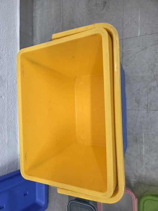Taças marmita vidro