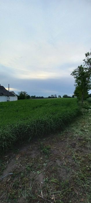 Будинок з ділянкою 60 соток