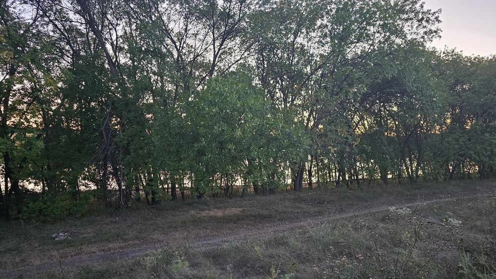 Продам земельну ділянку з фундаментом Черняхівка