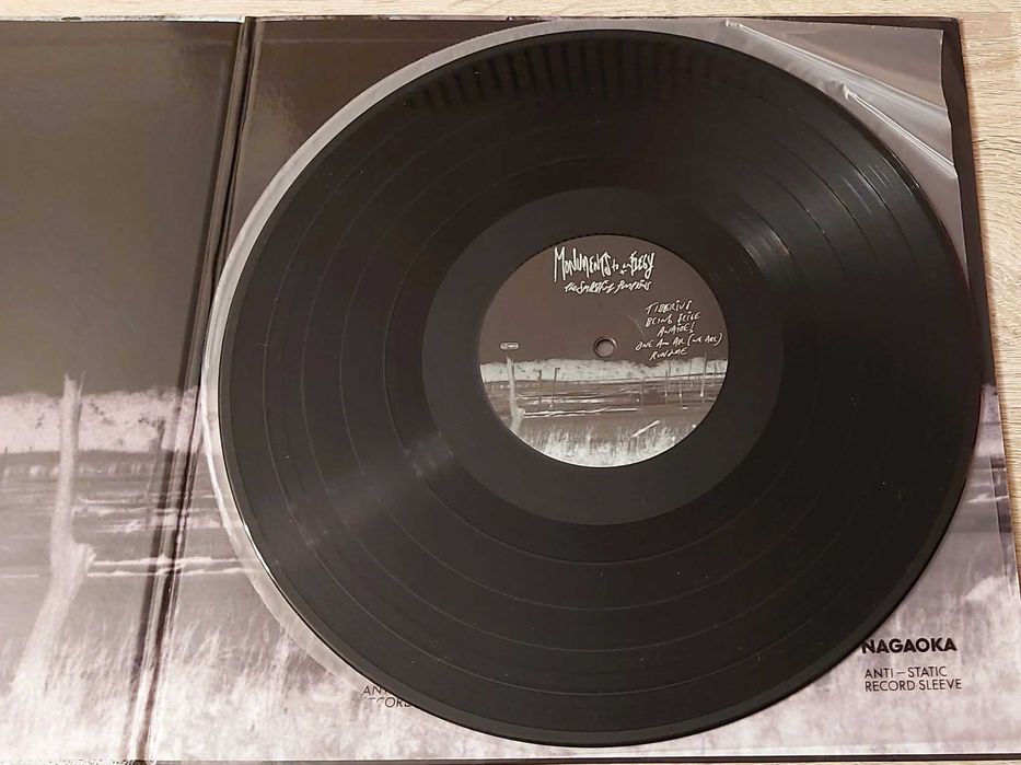 The Smashing Pumpkins – Monuments To An Elegy - winyl - NM