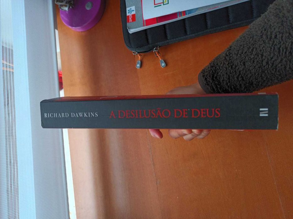 A Desilusão de Deus
