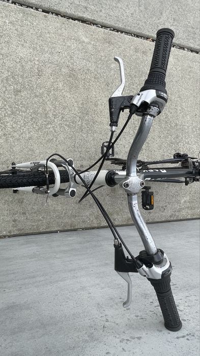 Berg Park roda 26 Tam L