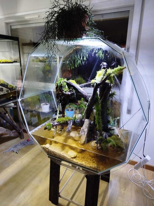 Vendemos aquário - paludário, nova opção!