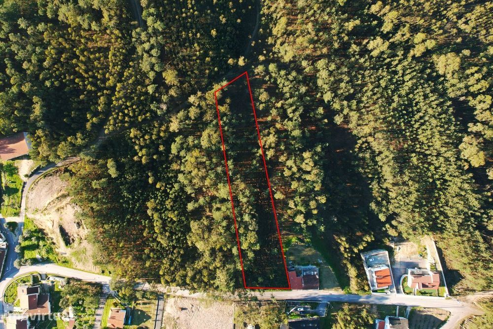 Terreno Para Construção localizado no Cercal, Ourém! — Matas E Cercal, Santarém
