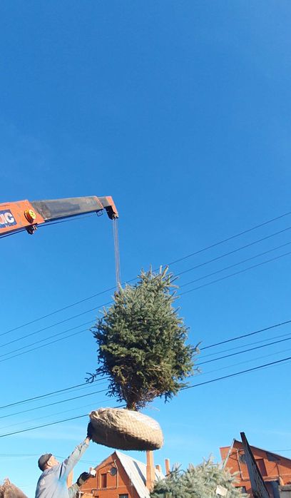 Ландшафтный дизайн