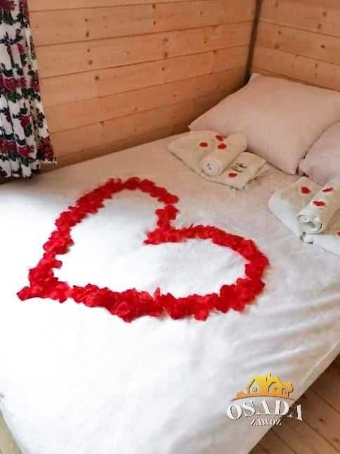 Solina, Bieszczady, Jezioro Solińskie, Domek Vip Osada Zawóz, jacuzzi,