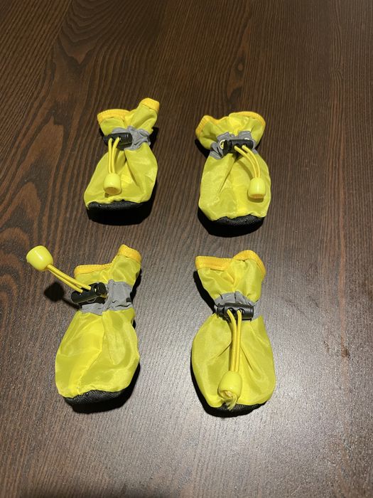 Sapatinhos para cão ou gato