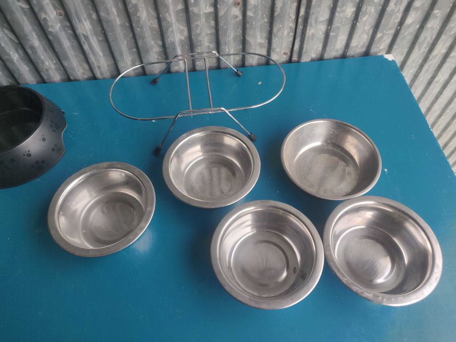 conjunto de taças para animal