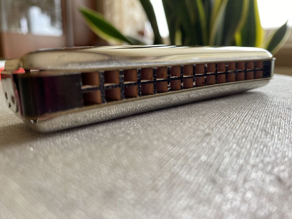 Harmonijka Hohner Echo