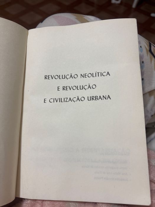 “Revolução Neolítica // Revolução e Civilizações Urbanas”