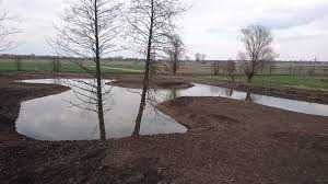 Kopanie stawu- czyszczenie,melioracja.