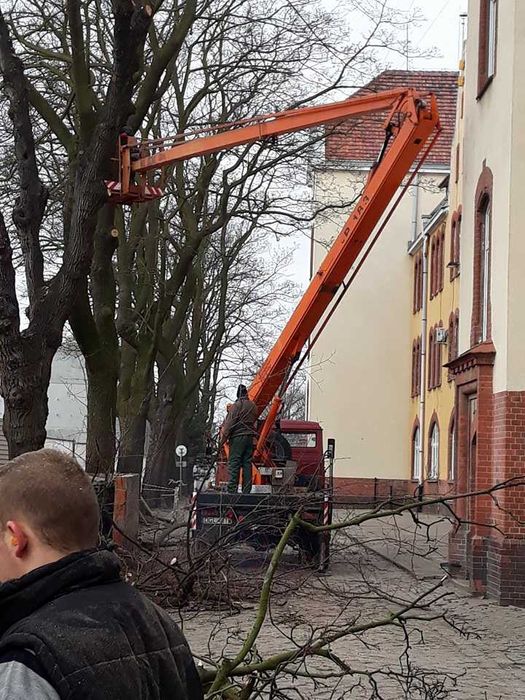 Usługi Ogrodnicze. Wertykulacja, Przycinka drzew i żywopłotów,koszenie