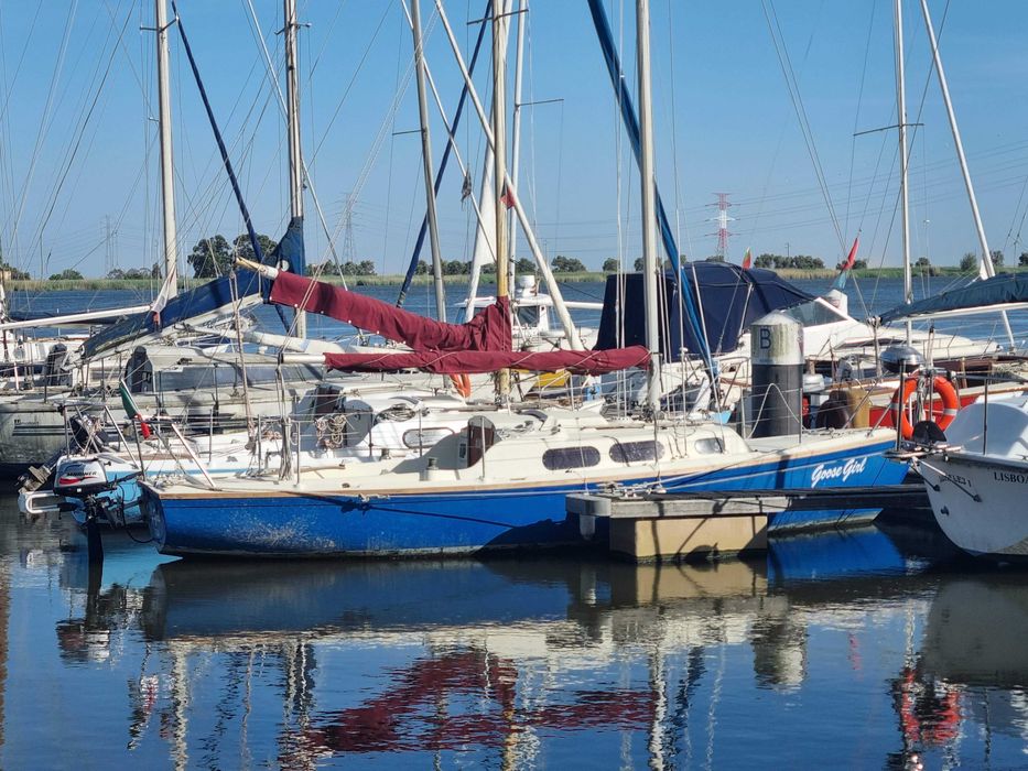 Vende-se Aquilles 24- O Clássico da Ria Formosa
