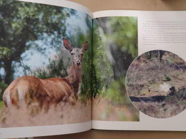 Senhores do Bosque de Paulo Caetano e Joaquim Pedro Ferreira