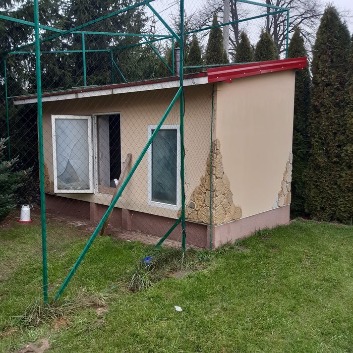 Gołębnik ocieplony gołębie