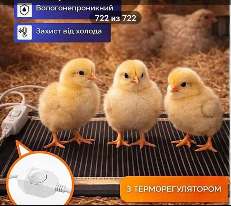 Килимок для обігріву електричний для птахів та для сушіння продуктів